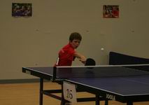 Robin en action