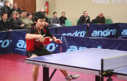 Chenbo JIN