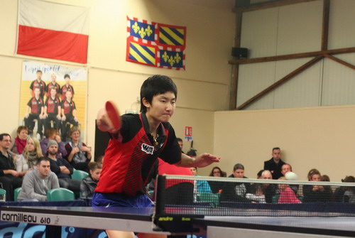 Chenbo JIN