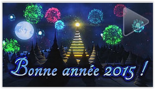 Voeux 2015